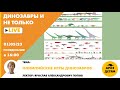 Занятие &quot;Олимпийские игры динозавров&quot; кружка &quot;Динозавры и не только&quot; с Ярославом Поповым