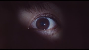 【ティザー】短編映画「ハチワン結婚相談所」