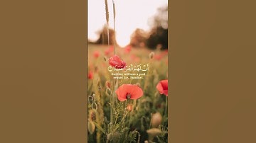 قران كريم ارح قلبك وسمعك #قرآن #اكسبلور #حالات_واتس #لايك #quran