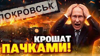 ПРОВАЛ РФ под Покровском: украинская оборона держит фронт – вот что там происходит!