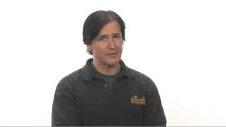 Termites: Pest Control Services in CT, NY and MA