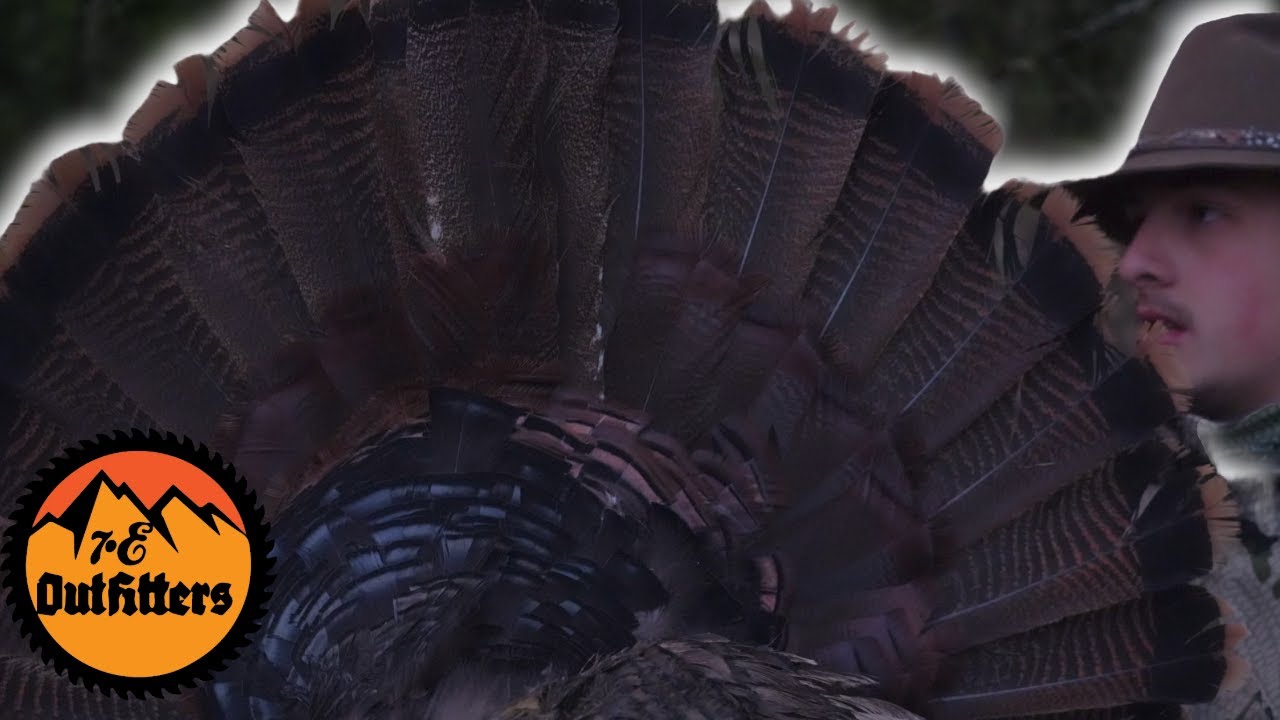 Turkey Hunting Mistakes || Lessons Learned