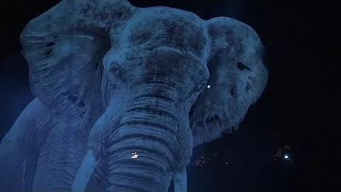 Moderner Zirkus: Roncalli performt mit Tier-Hologrammen