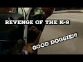 K9 Police Dog Gets Revenge on Suspect!!!!