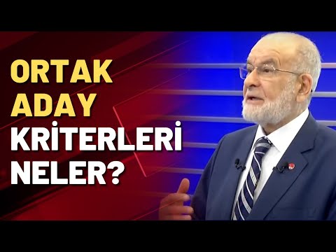 Ortak Aday kriterleri neler? Temel Karamolaoğlu yanıtladı