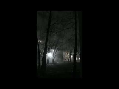 [FREE] Toxi$ New