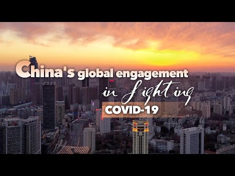 CGTN: What drives China's success in 2020