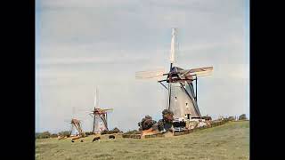 Molens In Nederland rond 1930 in kleur Dutch Windmills ca.1930 in color [AI enhanced & Colorized]