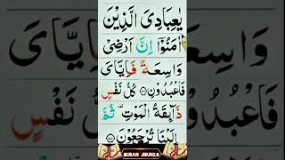 ay ibadi sora মদর কনটে তেলাঅত করলাম আপনাদের জন্য #quran #aislamic #tending