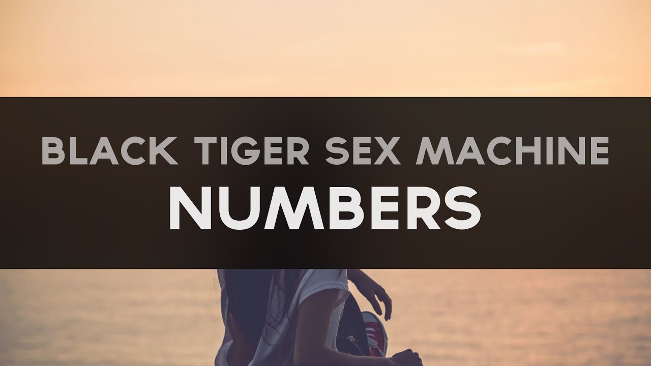 Electro House Black Tiger Sex Machine Numbers Youtube 