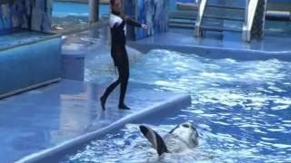 Dedicated to Dawn Brancheau who was killed February 24th, 2010 by Tilikum.