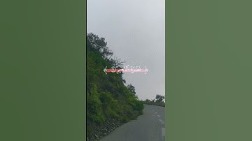 تلاوة الشيخ #يوسف العمري #تبوك
