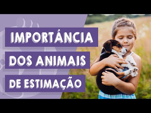 Vídeo: Crianças E Animais De Estimação: Os Prós E Os Contras De Manter Animais De Estimação Em Famílias Com Crianças