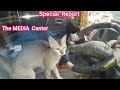 Off -Beat Sky News Bangla  Special Report