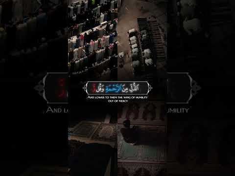 يكفينا يقينا أننا مأجورون على سعينا حتى وإن تعثرت خطواتنا اكسبلور غزة المصحف لايك راحة نفسية