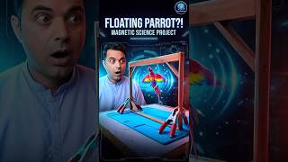 Flying Parrot Illusion Using Magnetic Frame | Amazing DIY Science Project