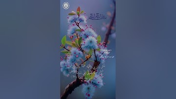 بسم الله الرحمن الرحيم..تلاوة ماتيسر من سورة  مريم اية 24