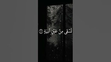 سورة الغاشية | عبدالرحمن مسعد 💚