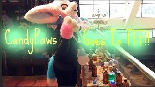 CandyPaws Goes To Texas Furry Fiesta 2017