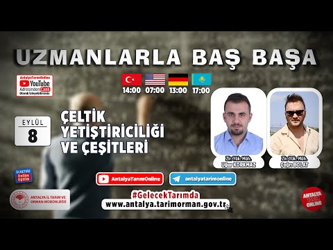 Video: Yeşil Gübre Olarak Tecavüz: Kış Ve Ilkbahar Tecavüzü Nasıl Ekilir? Sonbaharda Uygulama, Kazma Için Ipuçları