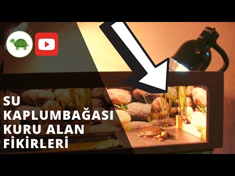 Video: Kaplumbağa Adası Nasıl Yapılır