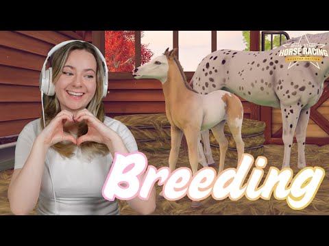 BREEDING NEW STEEPLECHASE HORSES! - Rival Stars Horse Racing | Pinehaven