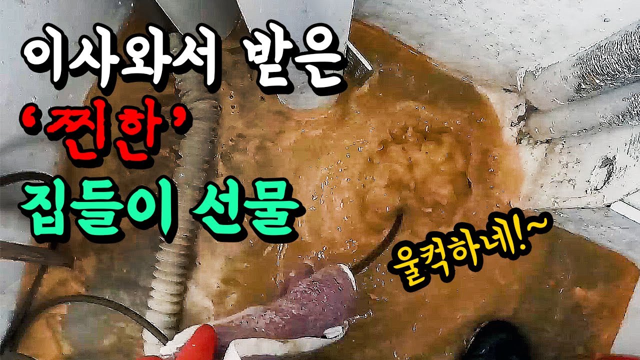 빌라 싱크대 반복 역류, 기름 제거·역경사 확인 현장 영상 썸네일