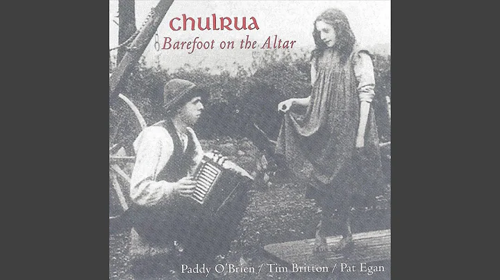 Jigs: Tobin's Favourite / Willie Clancy's / Paddy ...