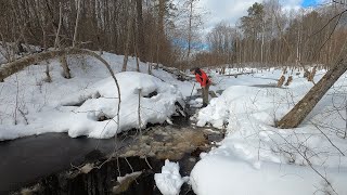 Winter. Checking 3 beaver dams. Got caught in the snow.