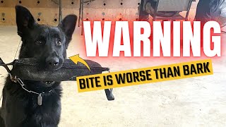 POLICE DOG ENCOUNTER During Boondockers Welcome Stay // RV Lifestyle