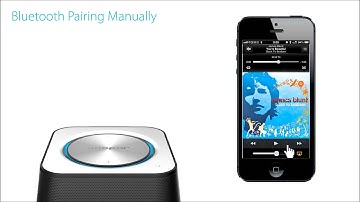 The Punch Box Speaker