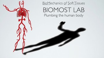 University of Iowa BioMechanics Of Soft Tissues (BioMOST) Lab