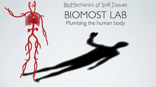 University of Iowa BioMechanics Of Soft Tissues (BioMOST) Lab screenshot 1