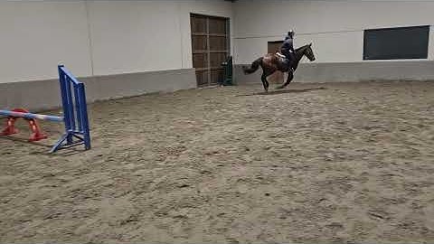 Ocean z 4yr mare