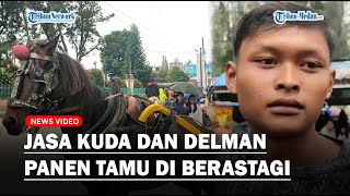 Penyedia Jasa Kuda Dan Delman Panen Tamu Ddanak Festival Bunga Dan Buah