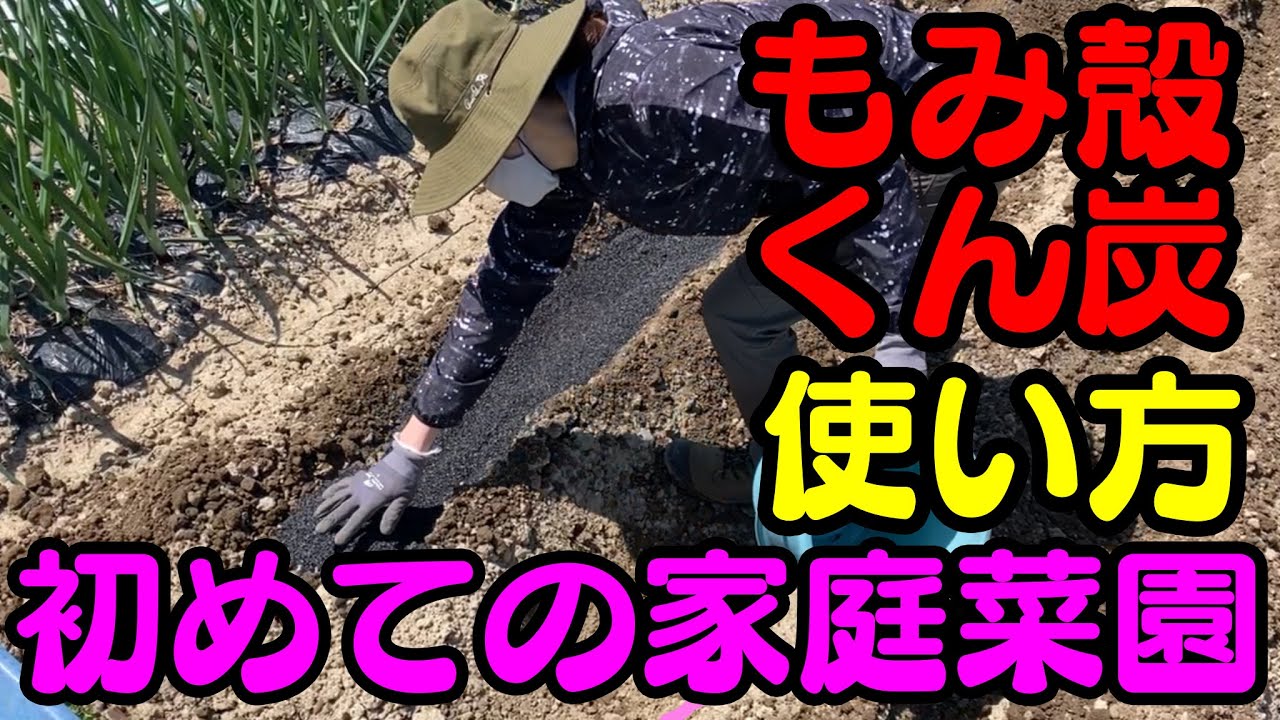 初めての家庭菜園 石灰の種類やタイミングなど使い方を解説 Youtube