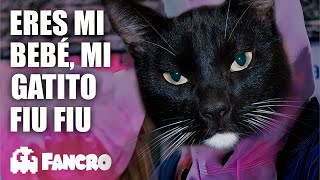 Mi Bebito Fiu Fiu - Cover Gatuno by Fancro 20,425 views 1 year ago 1 minute, 37 seconds