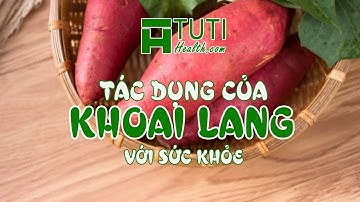 5 Tác Dụng Của Khoai Lang Đối Với Sức Khỏe | Ăn Khoai Lang Có Tác Dụng Gì