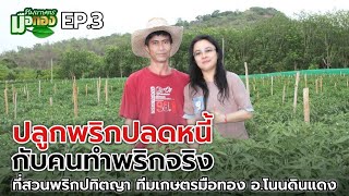 ปลูกพริกปลดหนี้ที่สวนพริกปทิตญา EP.3 @teamkasetmeuthong อ.โนนดินแดง จ.บุรีรัมย์