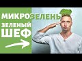 Микрозелень Зеленый шеф Стеллаж для выращивания установка для  микрогрин заработок