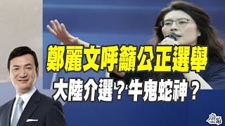 鄭麗文呼籲公正選舉！大陸介選？牛鬼蛇神？