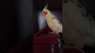:   