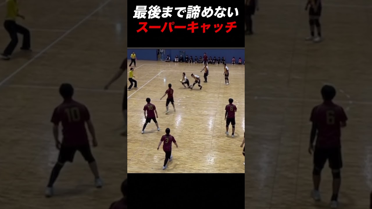 【ドッジボール】最後まで絶対に諦めないかっこいい選手達#ドッジボール #dodgeball