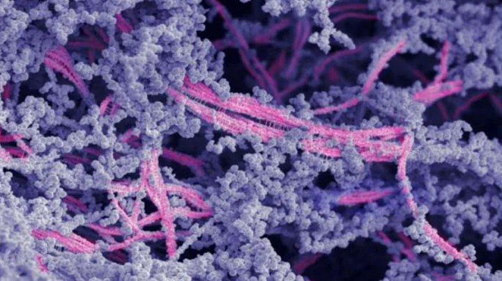 Biomaterial Regrows Damaged Cartilage