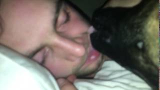 Dog Licks Mouth of Sleeping Man