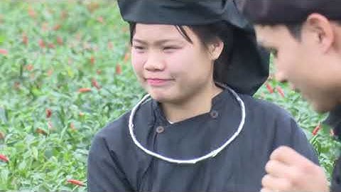 01-8 Ký sự Bắc Kạn quê hương tôi: Đi tìm câu hát lượn Slương. 