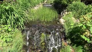 Звук природы Маленький Водопад в Лесу Расслабляющий l Sound of nature - Small Waterfall in the Fores