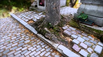 Cryengine Photogrammetry Demo