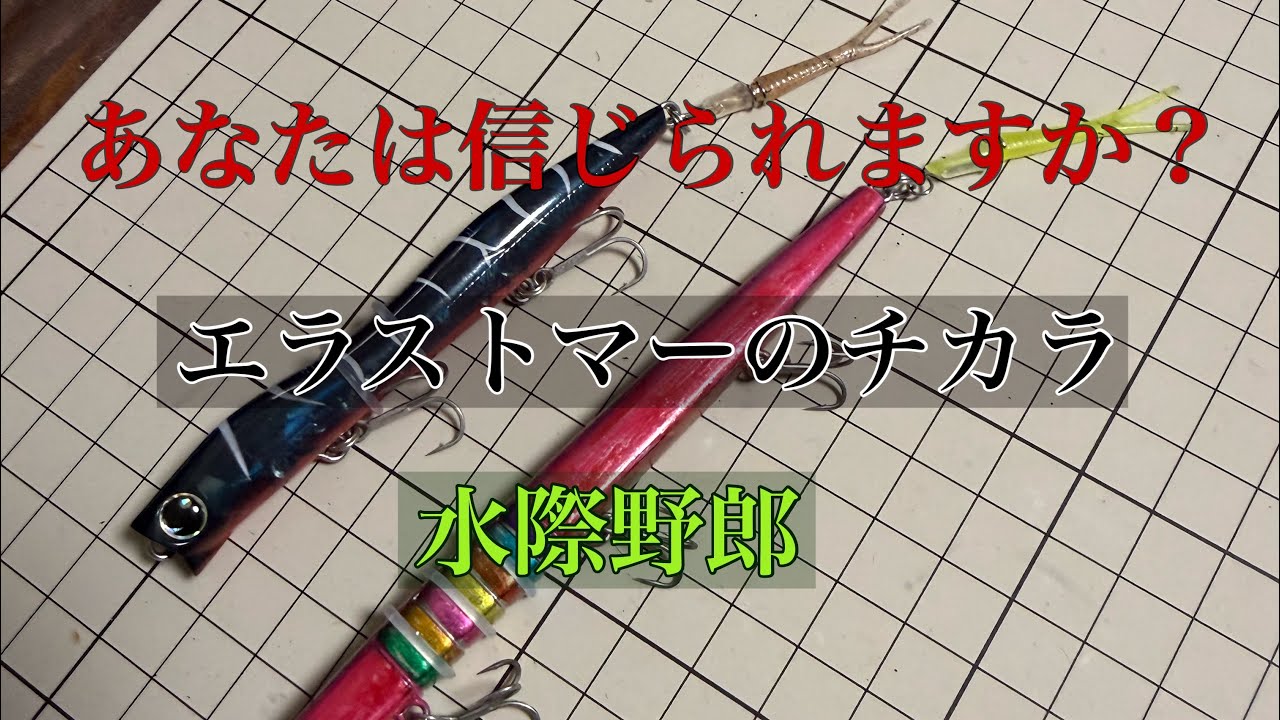 あなたは信じられますか？エラストマーテールの威力。バチ抜けシーバス【多摩川】#ルアーフィッシング