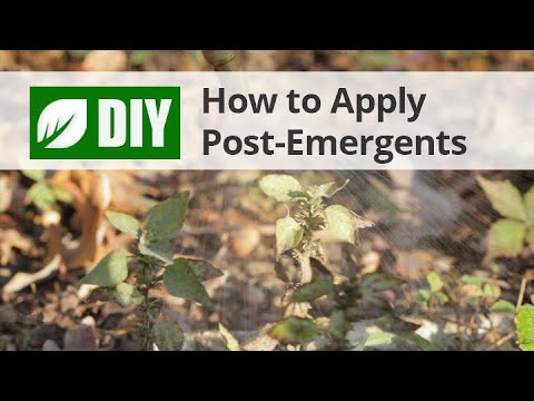 Video: Post-Emergent Information - Types of Post-Emergent Weed Killers